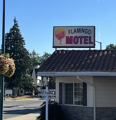 Flamingo Motel by null