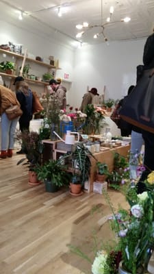 Homecoming by null Homecoming by null