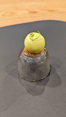 Counter- by null Counter- by null