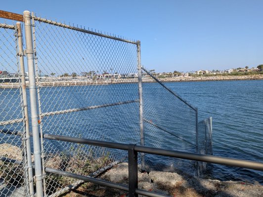 Alamitos Park by null