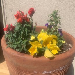 The gorgeous plants delivered in March! The gorgeous plants delivered in March!
