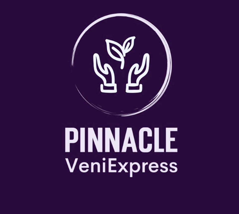 Pinnacle VeniExpress - home care agency in Huntsville, AL
