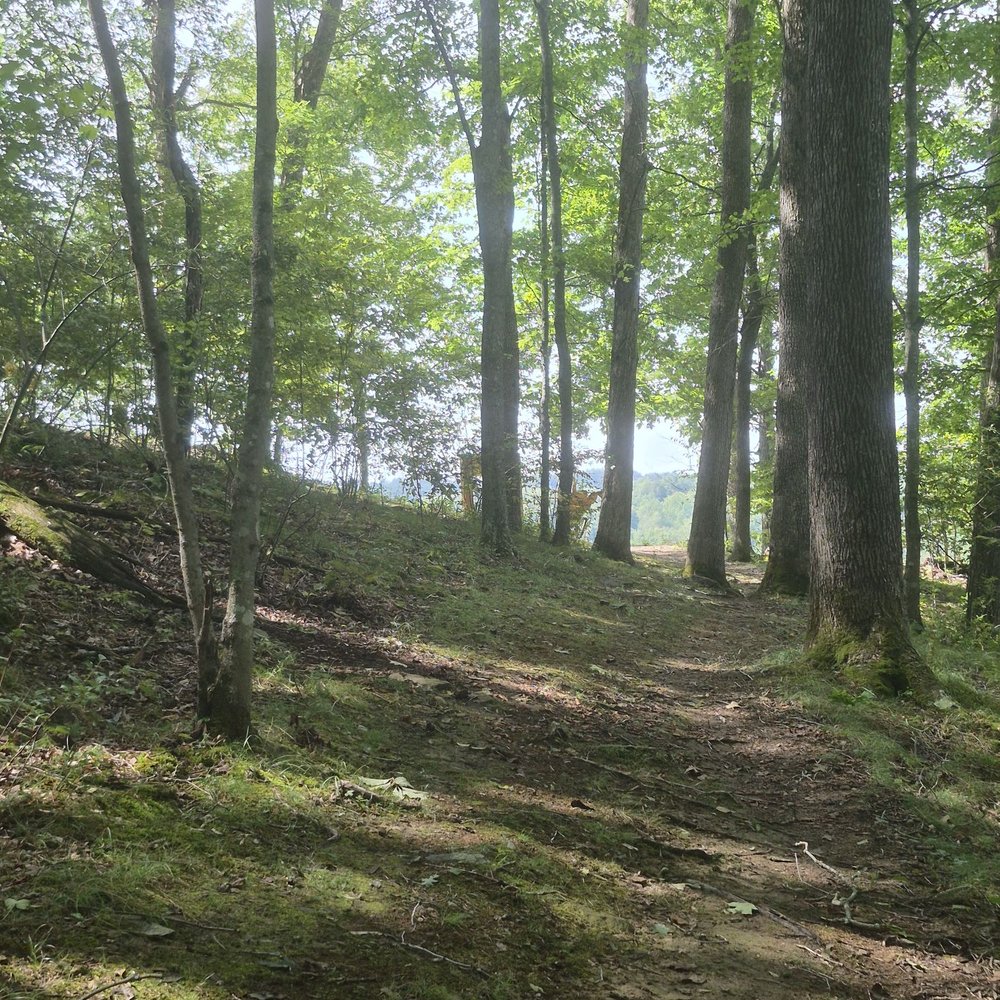 Beech Fork State Park - Parks Near Me - Barboursville, West Virginia