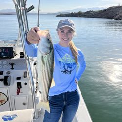 FishFinders Guide Service - Lake Mead Fishing Guides