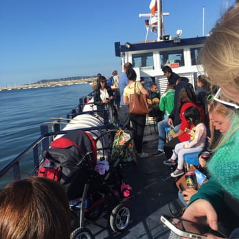 Dublin Bay Cruises - Tours Near Me - Howth, D