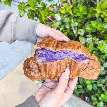 CA Bakehouse - Ube Taro Croissant - Bakeries Near Me - San Jose, California CA Bakehouse - Ube Taro Croissant - Bakeries Near Me - San Jose, California