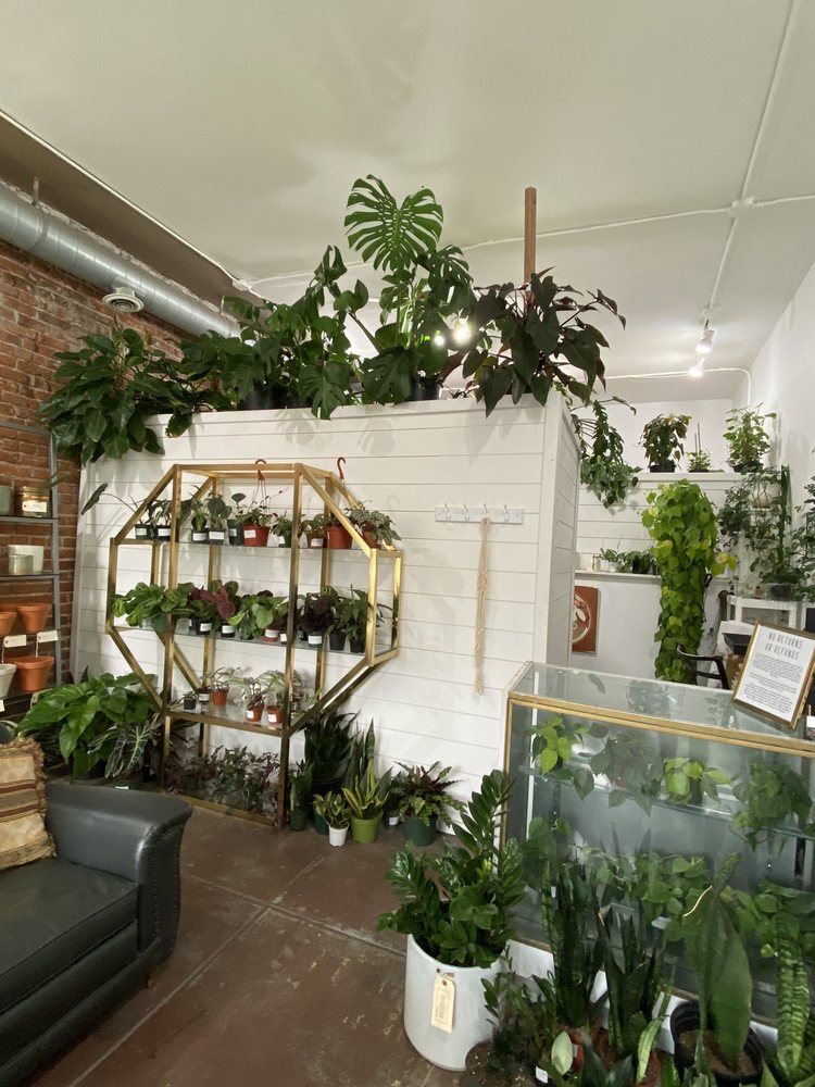 OVERGROWN HOME Updated August 2024 20 Photos 4322 w 35th ave, Denver, Colorado Nurseries