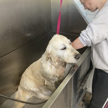 TGB Pet Services - Pet Boarding Near Me - Raymond, Ohio TGB Pet Services - Pet Boarding Near Me - Raymond, Ohio