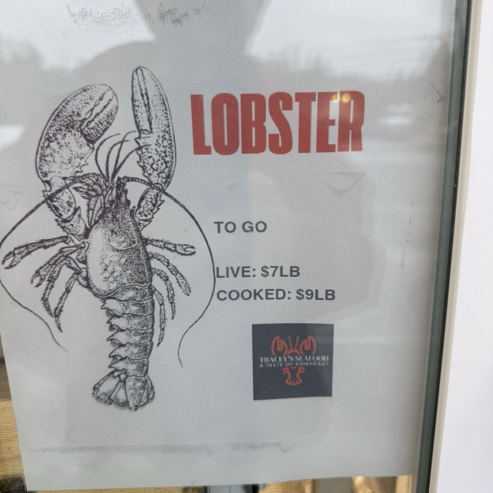 Tracy's Seafood - Lobster to go prices. - Seafood Near Me - Sullivan, Maine Tracy's Seafood - Lobster to go prices. - Seafood Near Me - Sullivan, Maine