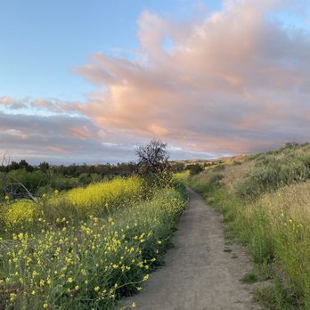 Peters Canyon Regional Park - Parks Near Me - Orange, California