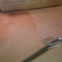 Eco-Scrub Carpet & Floor Care