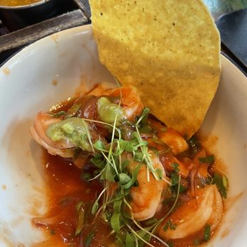 Tacology - Shrimp Ceviche - Mexican Near Me - Miami, Florida Tacology - Shrimp Ceviche - Mexican Near Me - Miami, Florida