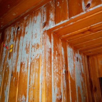 North Sound Mold Solutions - Mold comes in many colors! - Home Inspectors Near Me North Sound Mold Solutions - Mold comes in many colors! - Home Inspectors Near Me