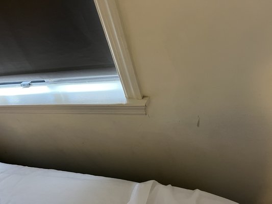 The Normandy Hotel by null