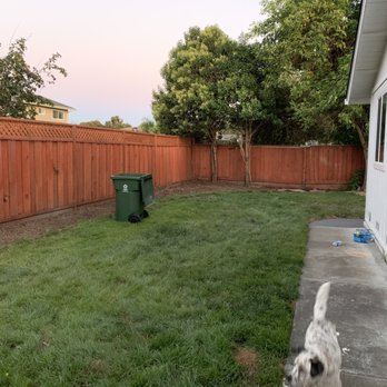 Ramirez Corporation Gardening Service - Done - Landscaping Near Me