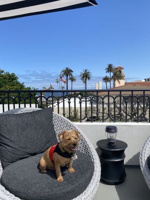 Orli La Jolla by null