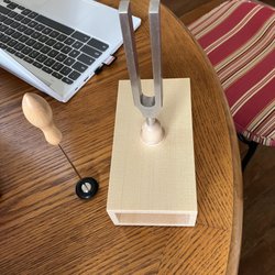 J S Fisher Violins, LLC - Wittner Large Tuning fork, Resonator and Rubber Striker