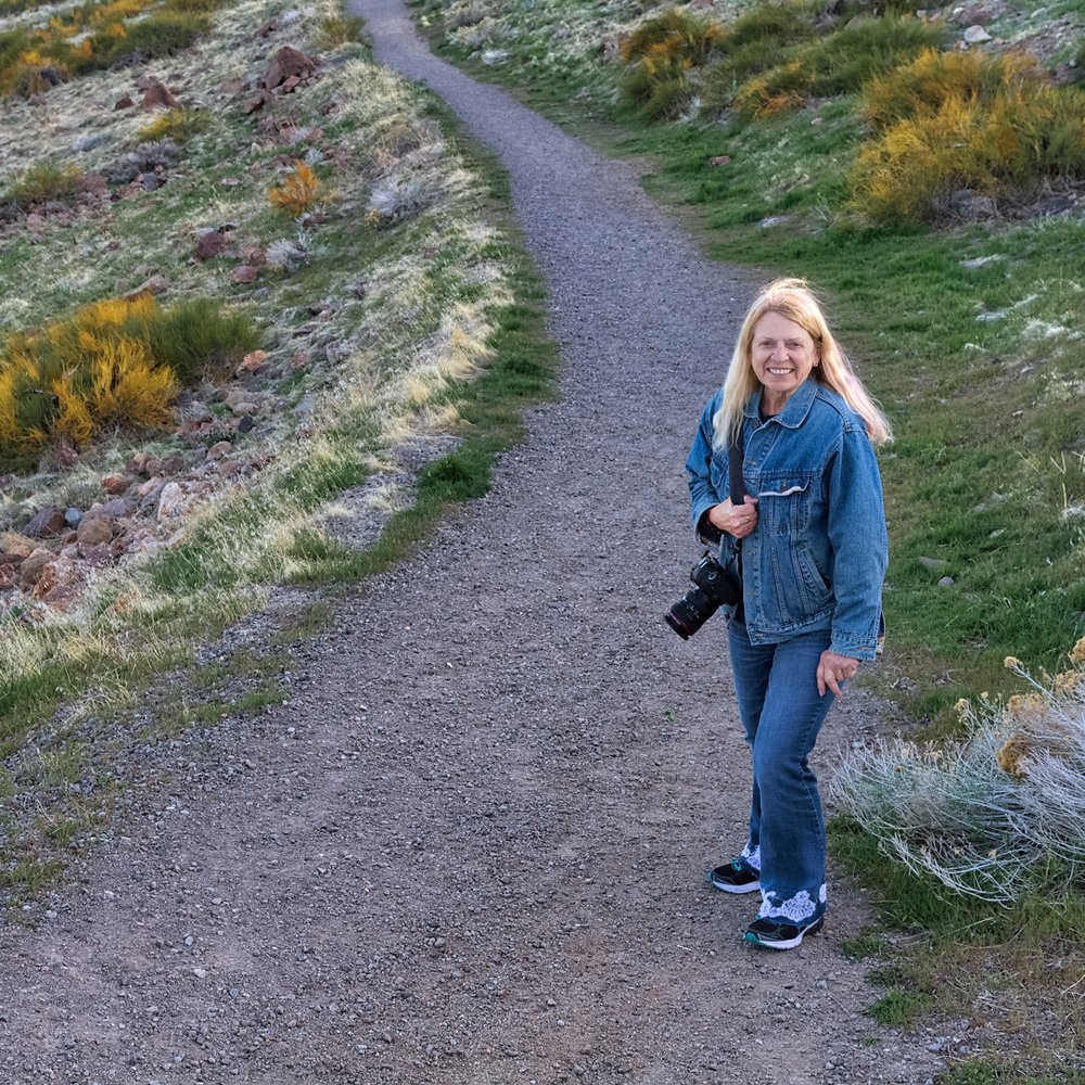 Audrey Harris Park - Parks Near Me - Reno, Nevada