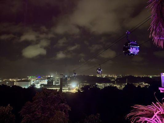 Arbora @ Mount Faber Peak by null