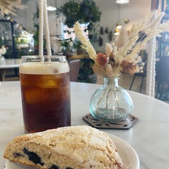 Dandy Lion Coffee - Coffee & Tea Near Me - Denver, Colorado Dandy Lion Coffee - Coffee & Tea Near Me - Denver, Colorado