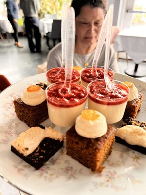 DOJA Tea Lounge by null