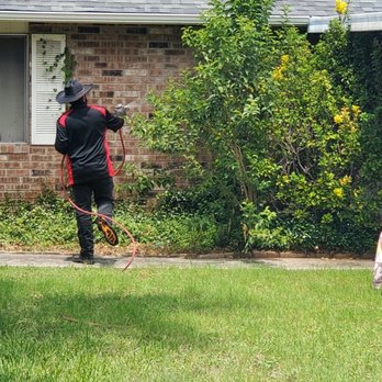 All Service - Pest Control Near Me All Service - Pest Control Near Me