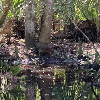 Cracker Creek Canoeing - Nature at its finest - Rafting/Kayaking Near Me - Port Orange, Florida Cracker Creek Canoeing - Nature at its finest - Rafting/Kayaking Near Me - Port Orange, Florida