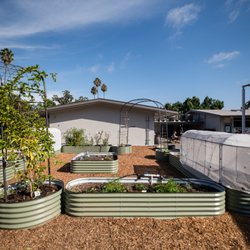 School program garden