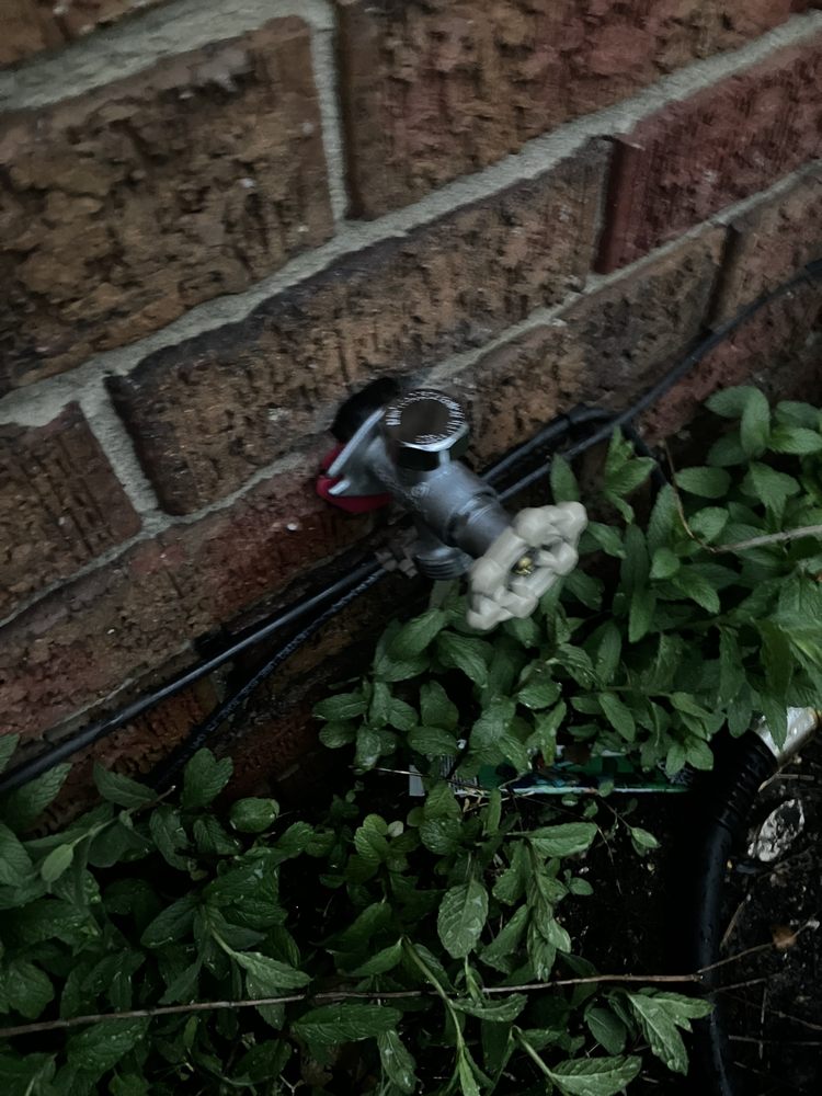 Slide of Silver Plumbing