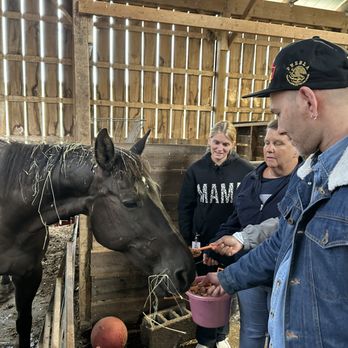 Heartland Haven Farm - Animal Assisted Therapy Near Me - Breesport, New York Heartland Haven Farm - Animal Assisted Therapy Near Me - Breesport, New York