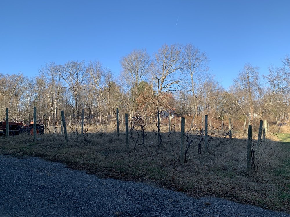 BRIMSTONE HILL VINEYARD & WINERY 25 Photos & 22 Reviews 61