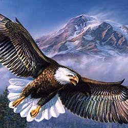 Eagles Counseling - Eagles Counseling, LLC