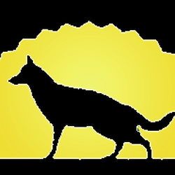 Conway Canine Companions