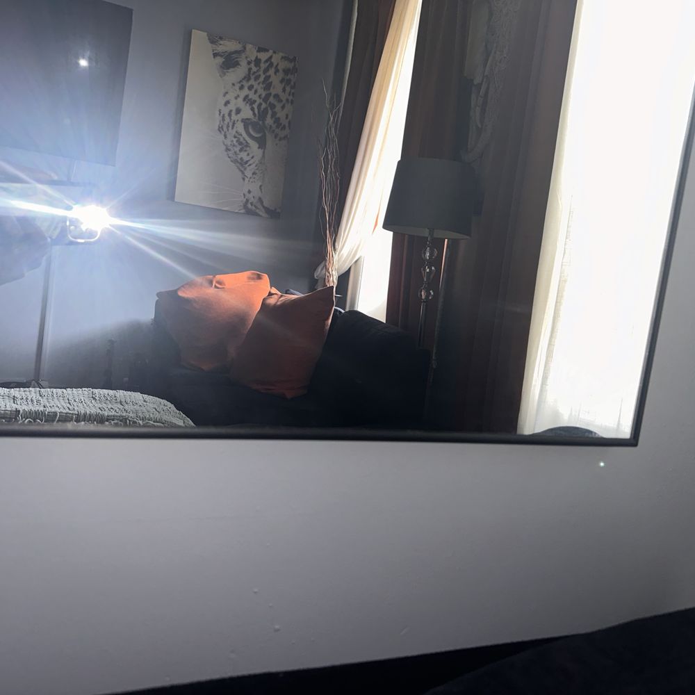 Shine Professional Cleaners - Home Cleaning Near Me Shine Professional Cleaners - Home Cleaning Near Me