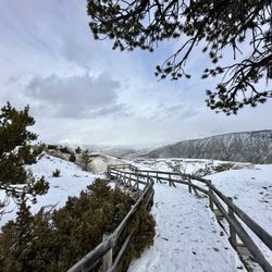 Big Sky Adventures & Tours - Mammoth Hot Springs