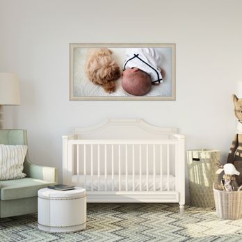 Tony Simons Imagery - Maltipoo "Coco" above her new sister's crib. - Pet Photography Near Me Tony Simons Imagery - Maltipoo "Coco" above her new sister's crib. - Pet Photography Near Me