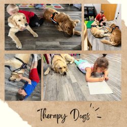 Step Forward Therapy - Our therapy dogs, Pumpkin & Pumpkin assist with sessions, helping provide sensory breaks and a bit of fun.