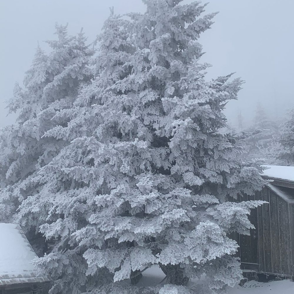Mount LeConte - Dec.7 in the 20's - Hiking Near Me