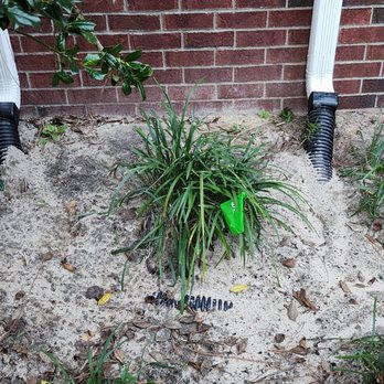 Sparta Lawn Care - Drainage pipe exposed and bed left a mess - Lawn Services Near Me - Columbia, South Carolina Sparta Lawn Care - Drainage pipe exposed and bed left a mess - Lawn Services Near Me - Columbia, South Carolina