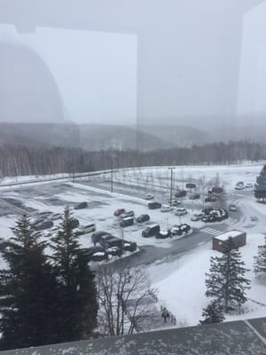 Takino Suzuran Hillside Park by null