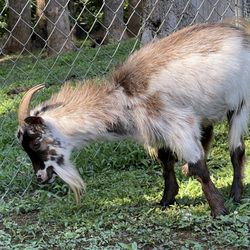 Blakes plumbing and drain