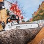 Photo of Woodstock Mower & Chainsaw