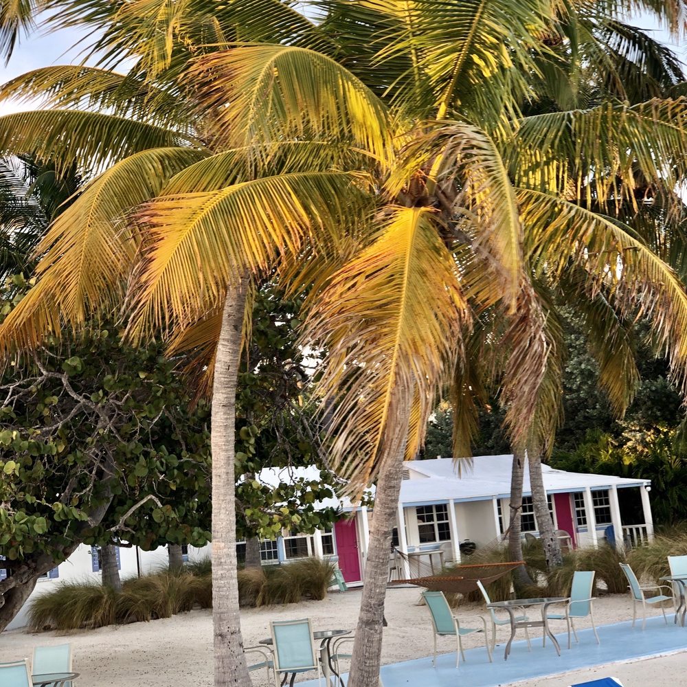 Pines and Palms Resort - Lounge area outside of the pool - Resorts Near Me - Islamorada, Florida Pines and Palms Resort - Lounge area outside of the pool - Resorts Near Me - Islamorada, Florida