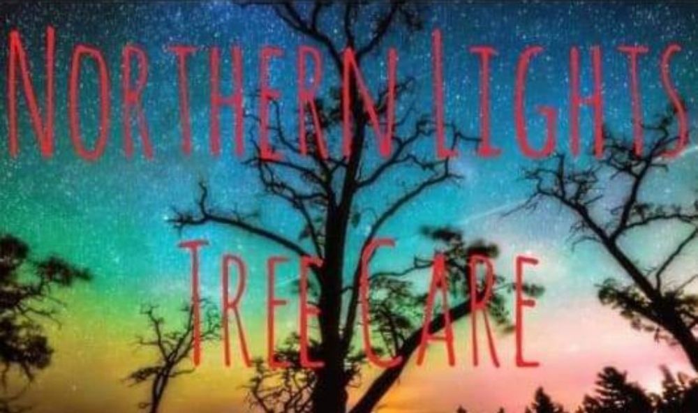 Northern Lights Tree Care - tree service in Middle Grove, NY