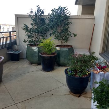 AW Pottery Atlanta - Great looking planters from AW Pottery - Home Decor Near Me - Atlanta, Georgia