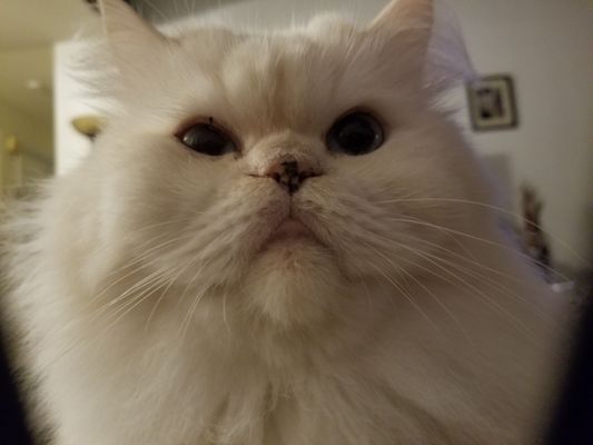 GOLDEN 1 CREDIT UNION - Updated April 2025 - 10 Reviews - 2970 E Nees