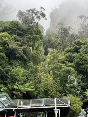 Scenic World by null