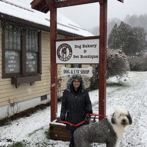 My Best Friend S Barkery Pet Stores 176 Shawneehaw Ave S