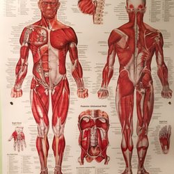 Massage 7