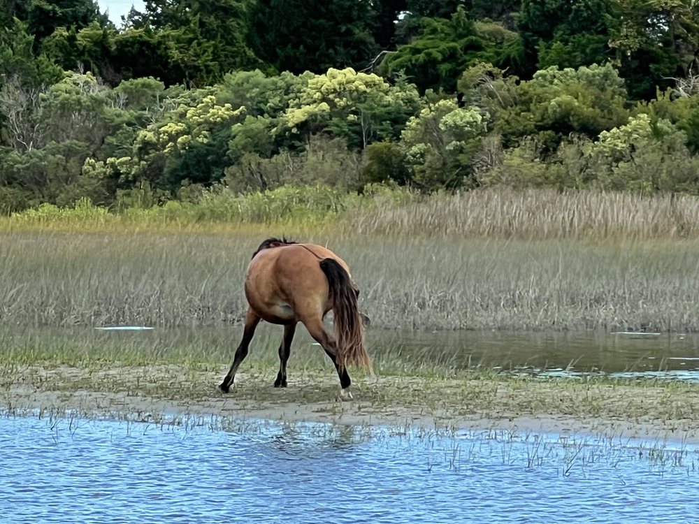 Capt Rons Island Tours